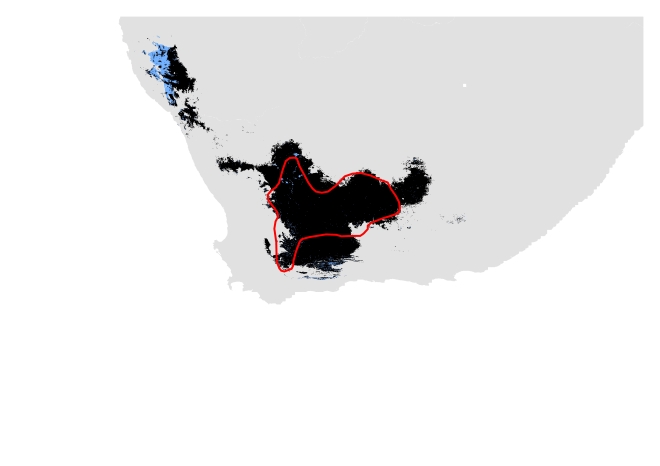 D. Past distribution using modern and past data. Potentially suitable climate and habitat shown in black (Range size = 188, 490 sq.km) and potentially suitable climate shown in blue (Range size= 199, 911 sq.km). IUCN polygon shown in red.