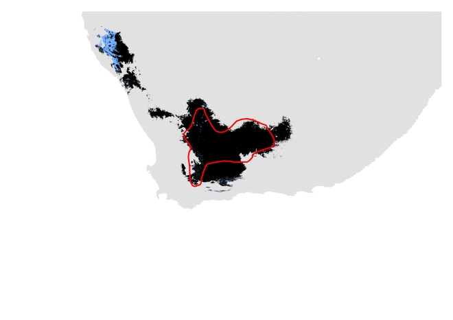 C. Past distribution using only modern data. Potentially suitable climate and habitat shown in black (Range size = 177, 177 sq.km) and potentially suitable climate shown in blue (Range size= 190, 203 sq.km). IUCN polygon shown in red.